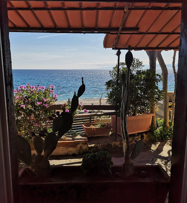 La casa di Nonno Ciccillo主图