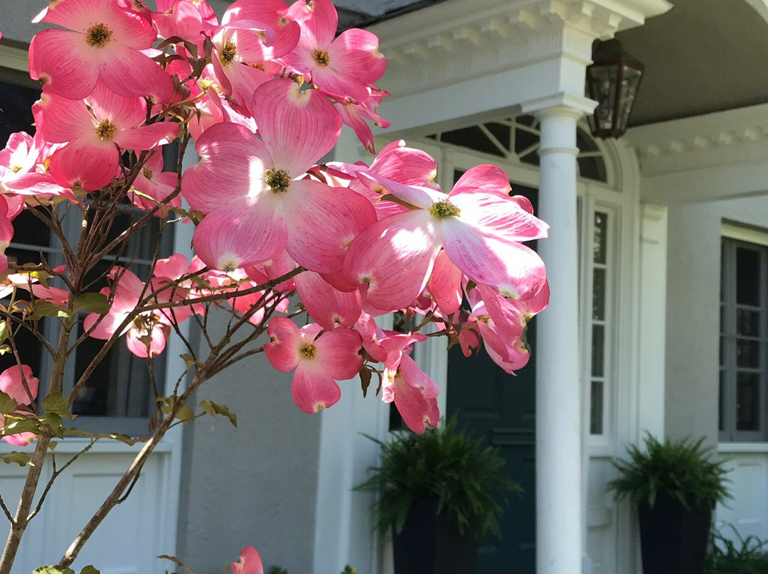 Arthur Morgan House Bed & Breakfast主图