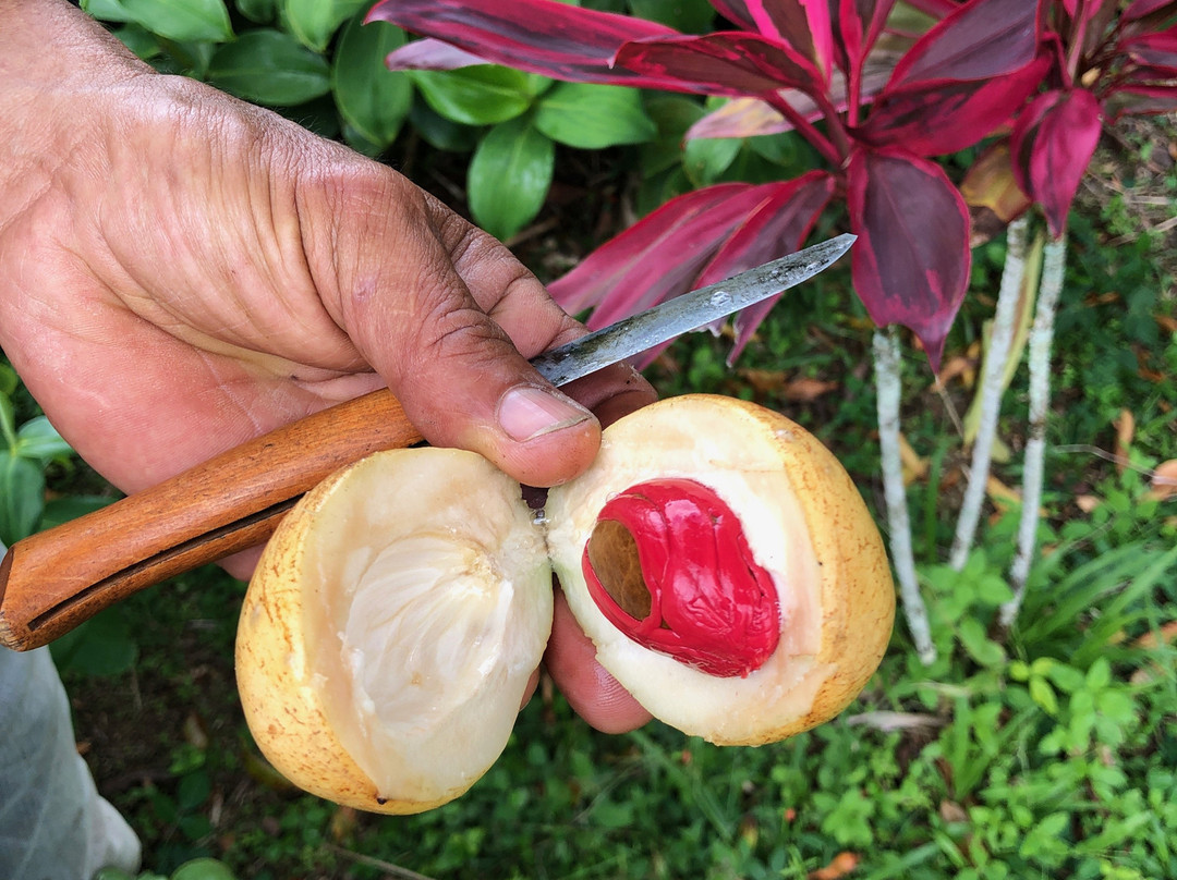 Plantation Beauvallon-Le Morne-Rouge必去景点