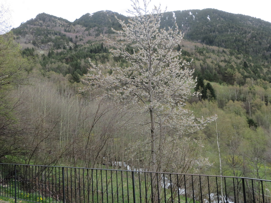 Xalet Bringue Hotel & Spa主图