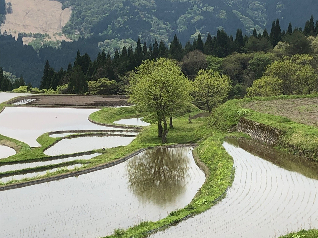 Terrace Rice Field-养父市必去景点
