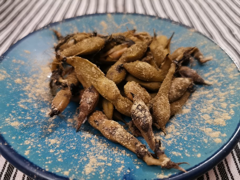 Pazirik Ecolodge主图