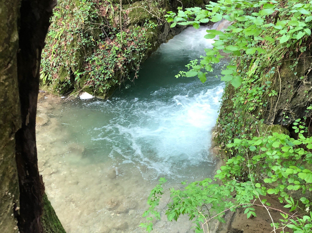 Susara Waterfall景点图片