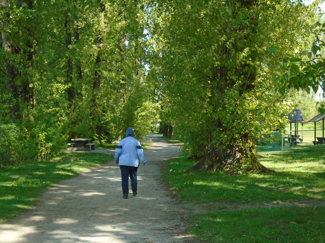 Fraser Foreshore Park-本那比必去景点