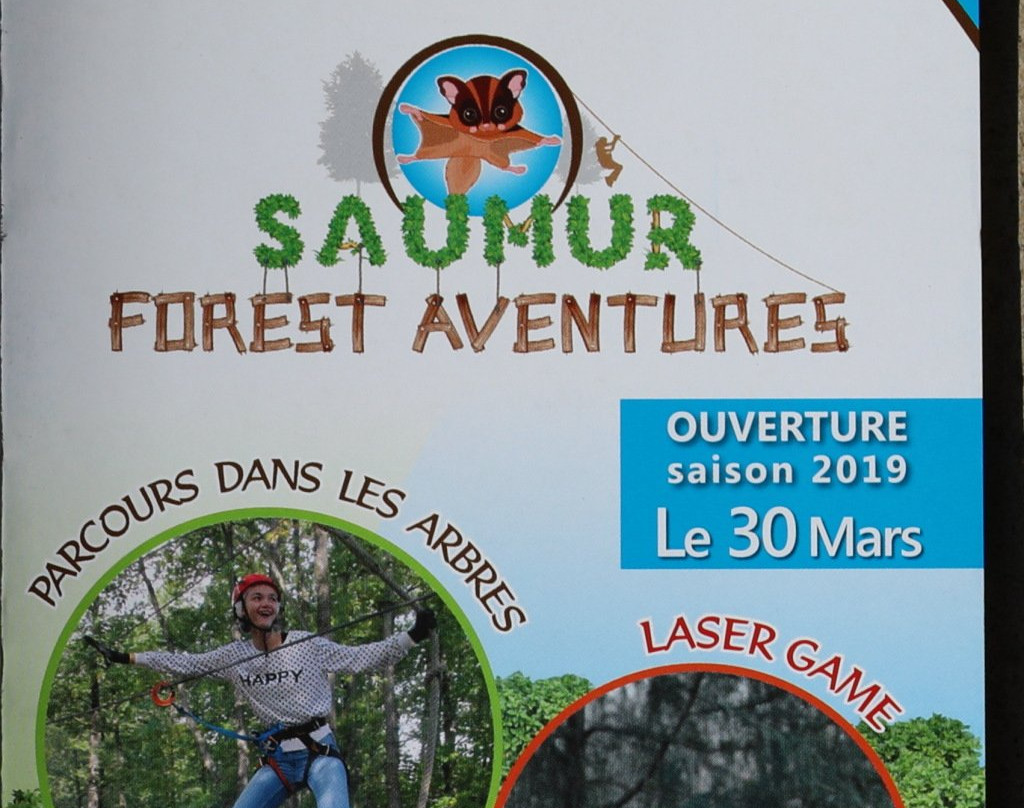 Parc Saumur Forest Aventures景点图片