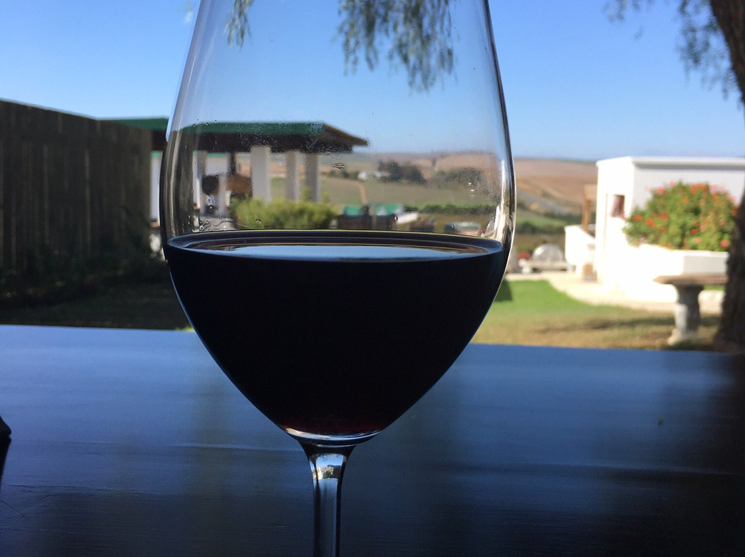 Arcangeli Wines主图