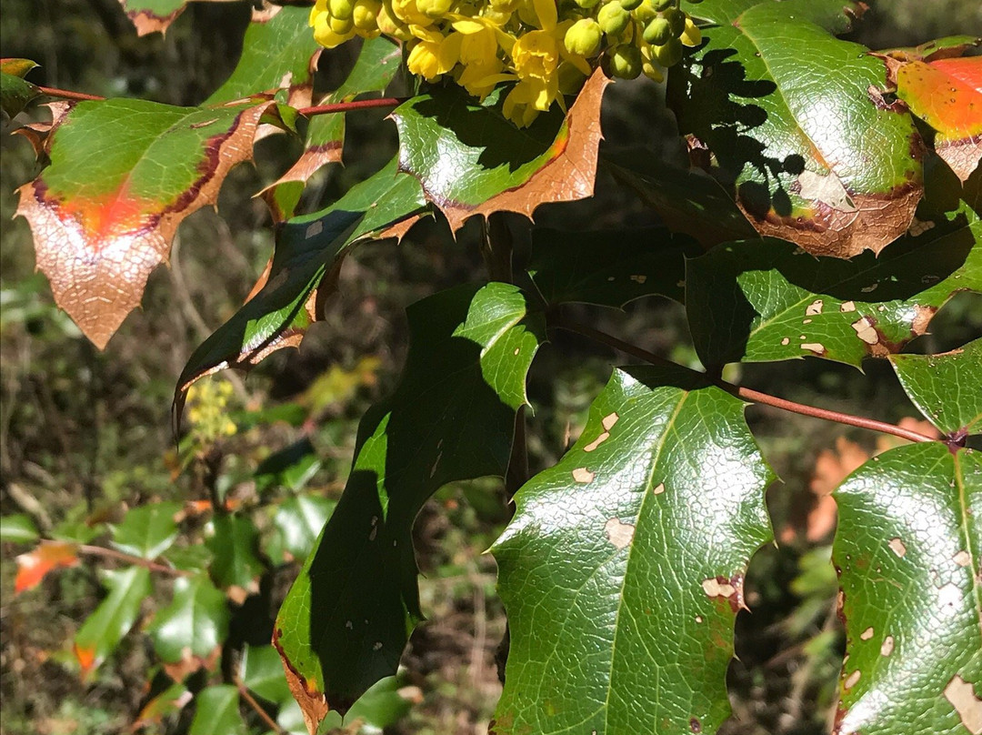 Moorecroft Regional Park-Nanoose Bay必去景点