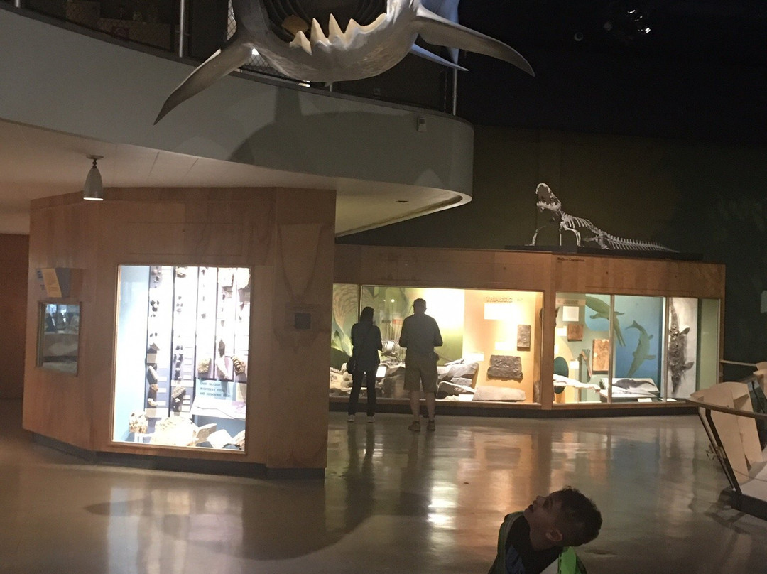 Cleveland Museum of Natural History-克利夫兰必去景点