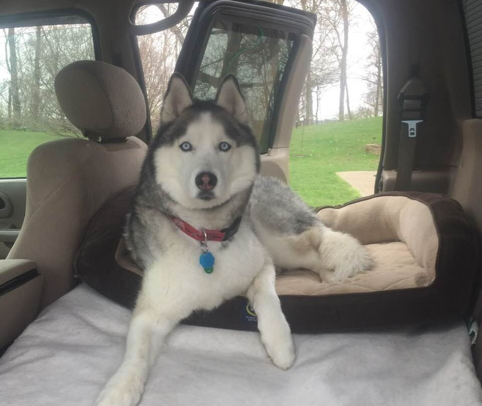 Burr Oak State Park-Glouster必去景点