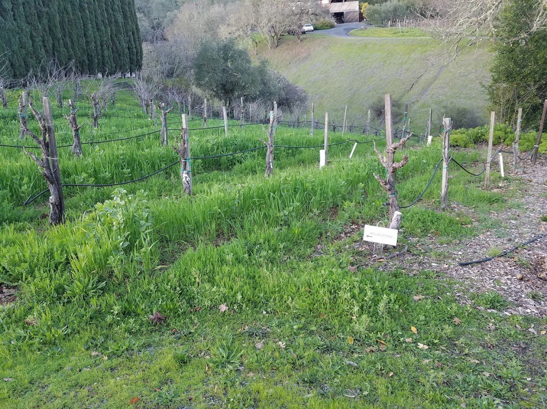 Frick Winery景点图片