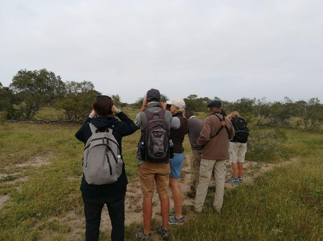 Belfast tours and safaris-雾观必去景点