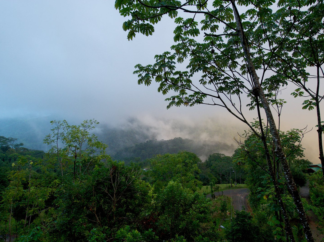 El Silencio de Los Angeles Cloud Forest Reserve景点图片