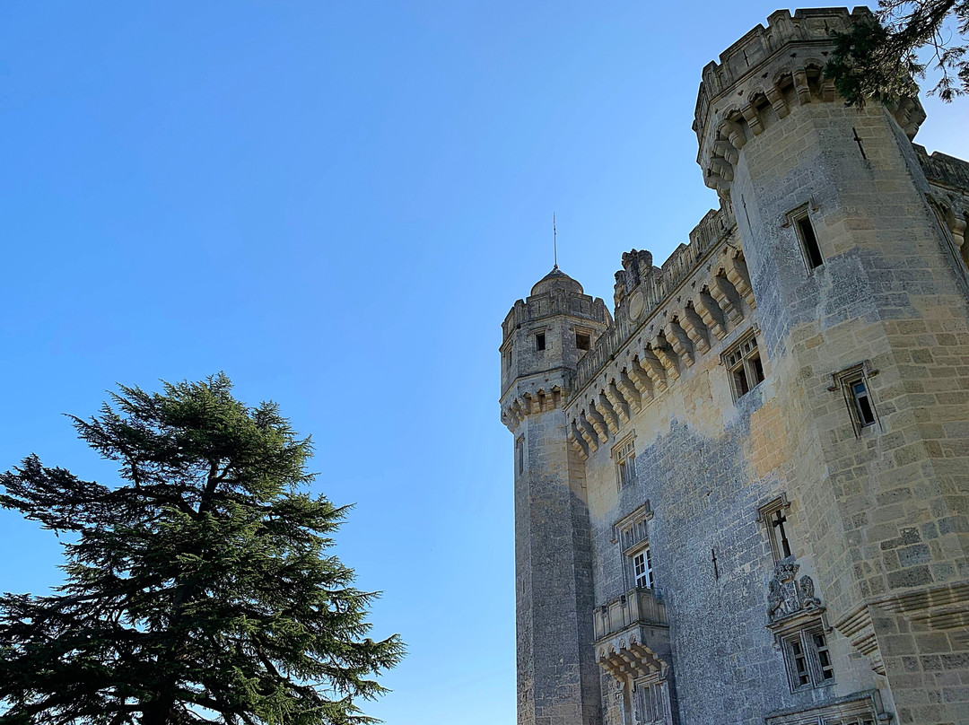Chateau de Camarsac景点图片