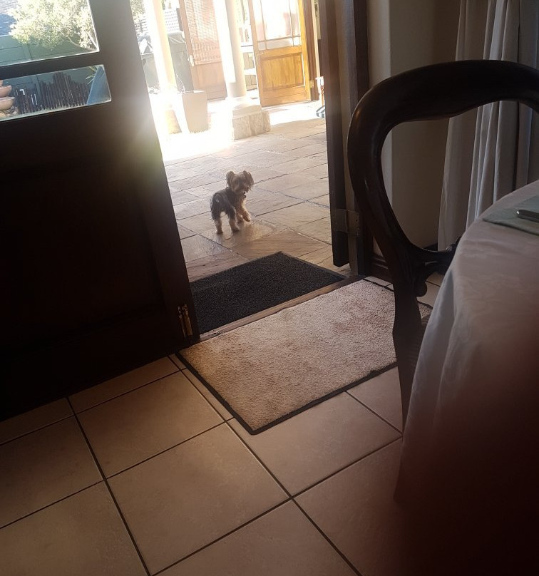 Greenwood Villa主图