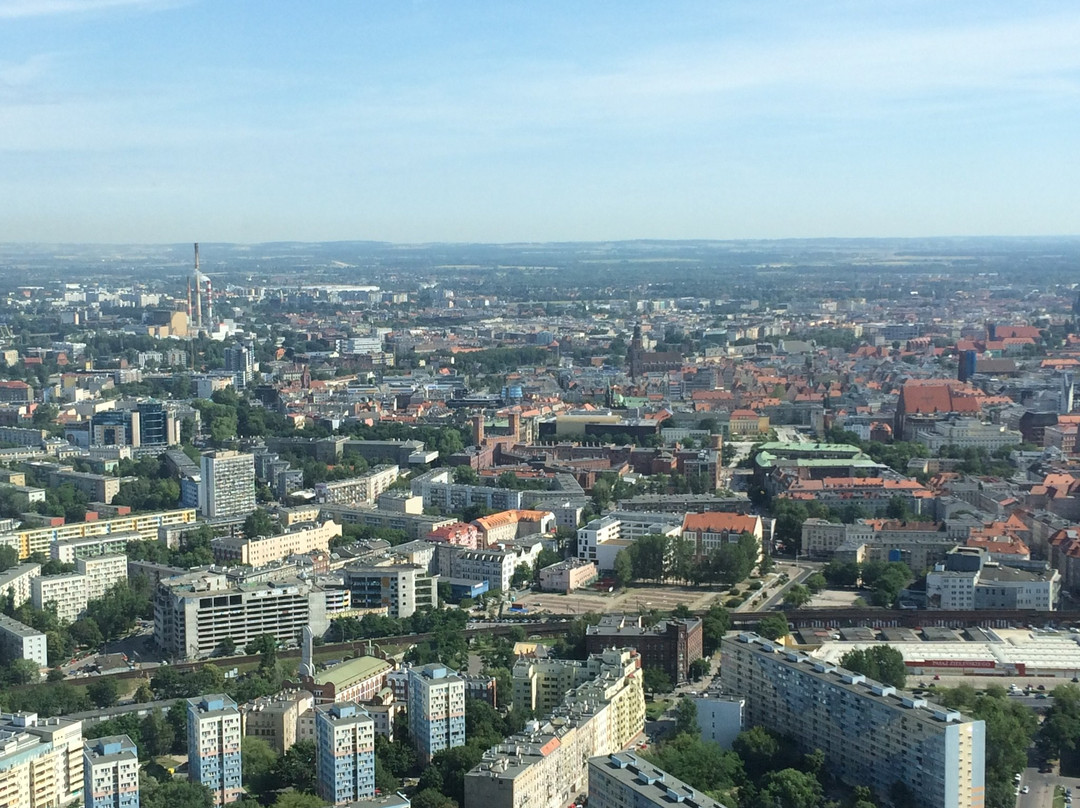 Sky Tower Observation Deck