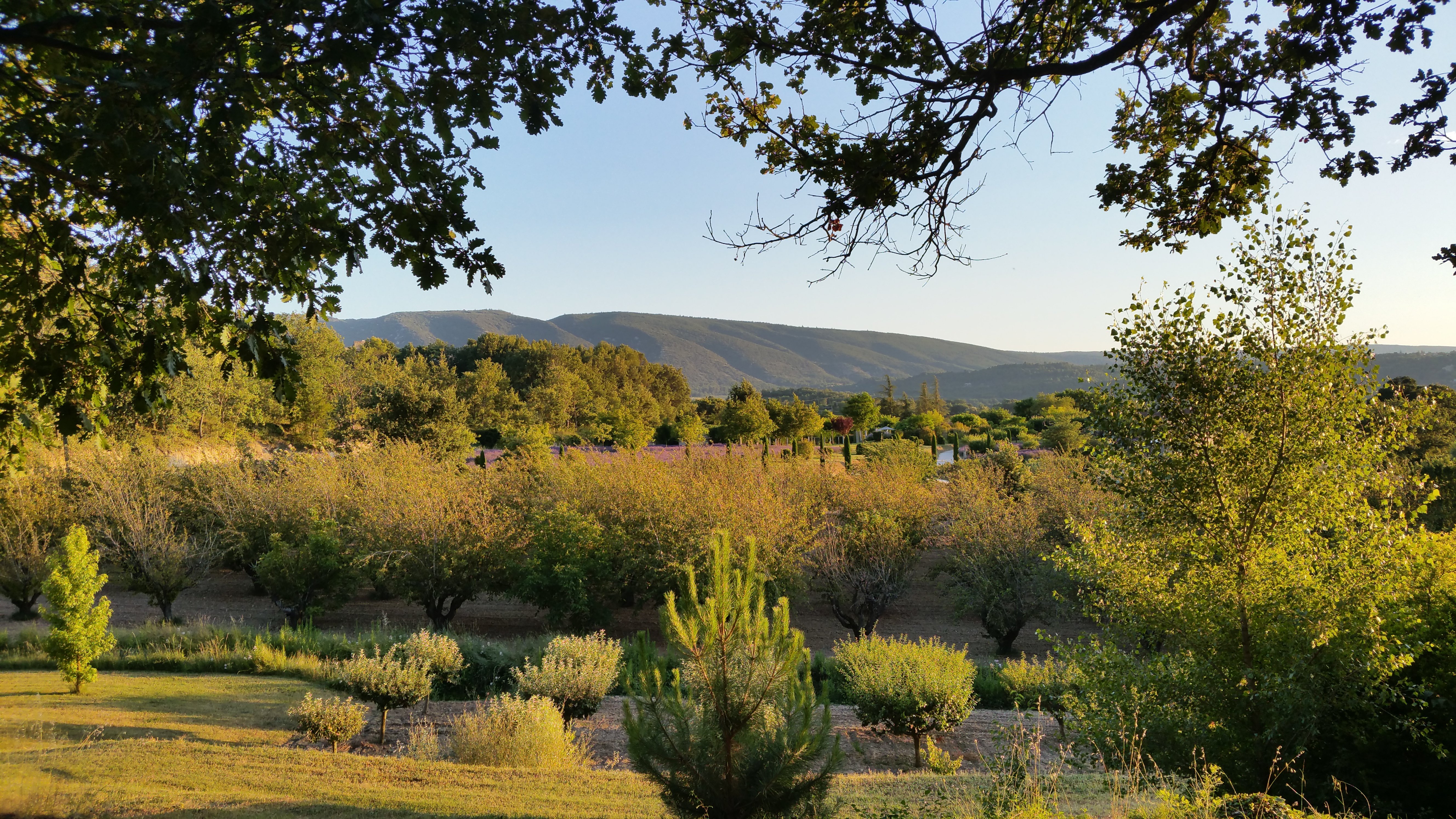Au pied du Luberon-官方