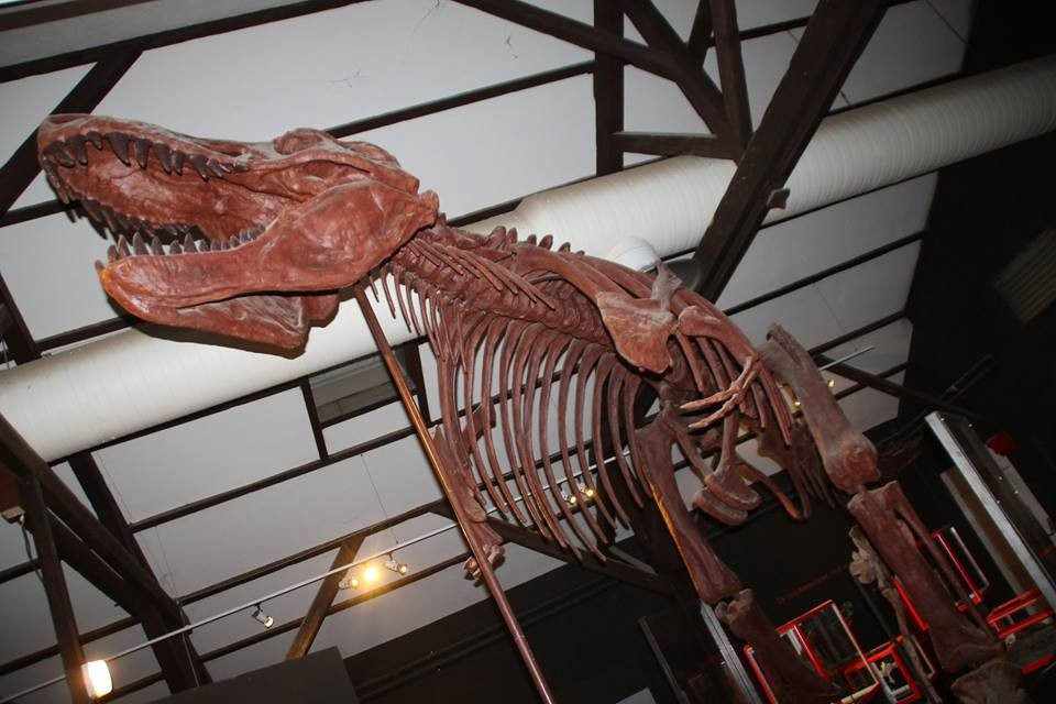 Musee des Dinosaures 'Dinosauria'景点图片