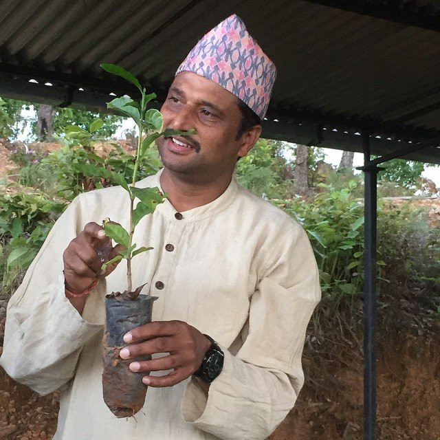 Himalaya Ontop Organic Coffee Estate-Dhading必去景点