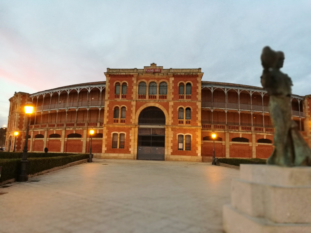 Plaza de Toros de Salamanca景点图片