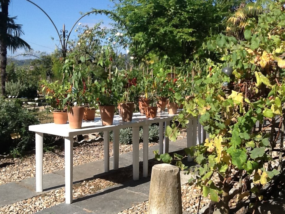 Casa Zuccala-Marentino必去景点