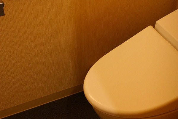 鸠屋旅馆瑞凤阁主图