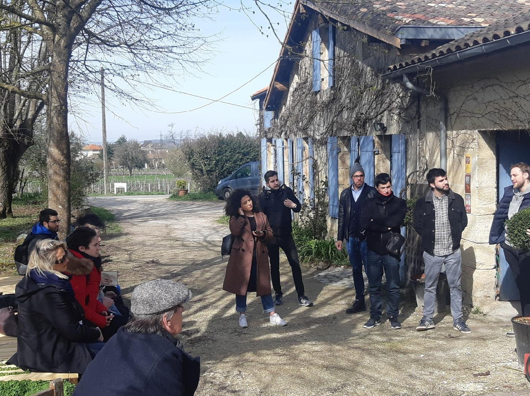 Chateau Saincrit-Saint-Andre-De-Cubzac必去景点