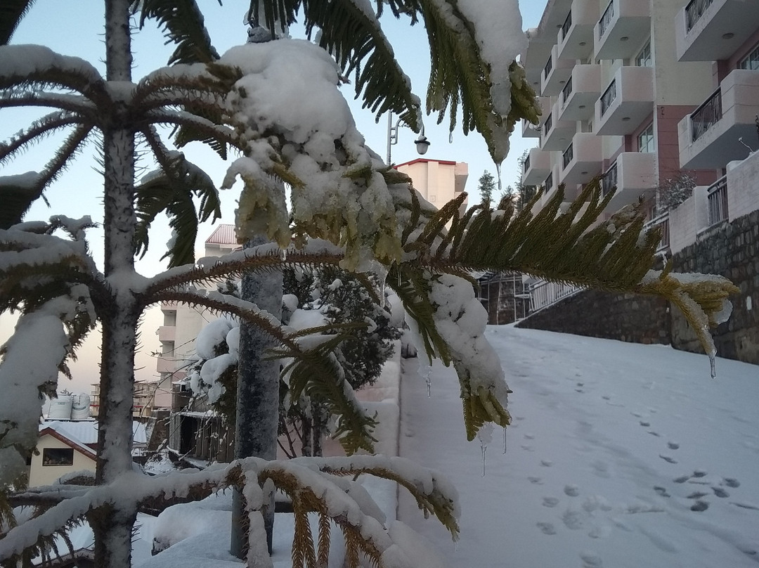 Spangle Heights Suites & Residences主图