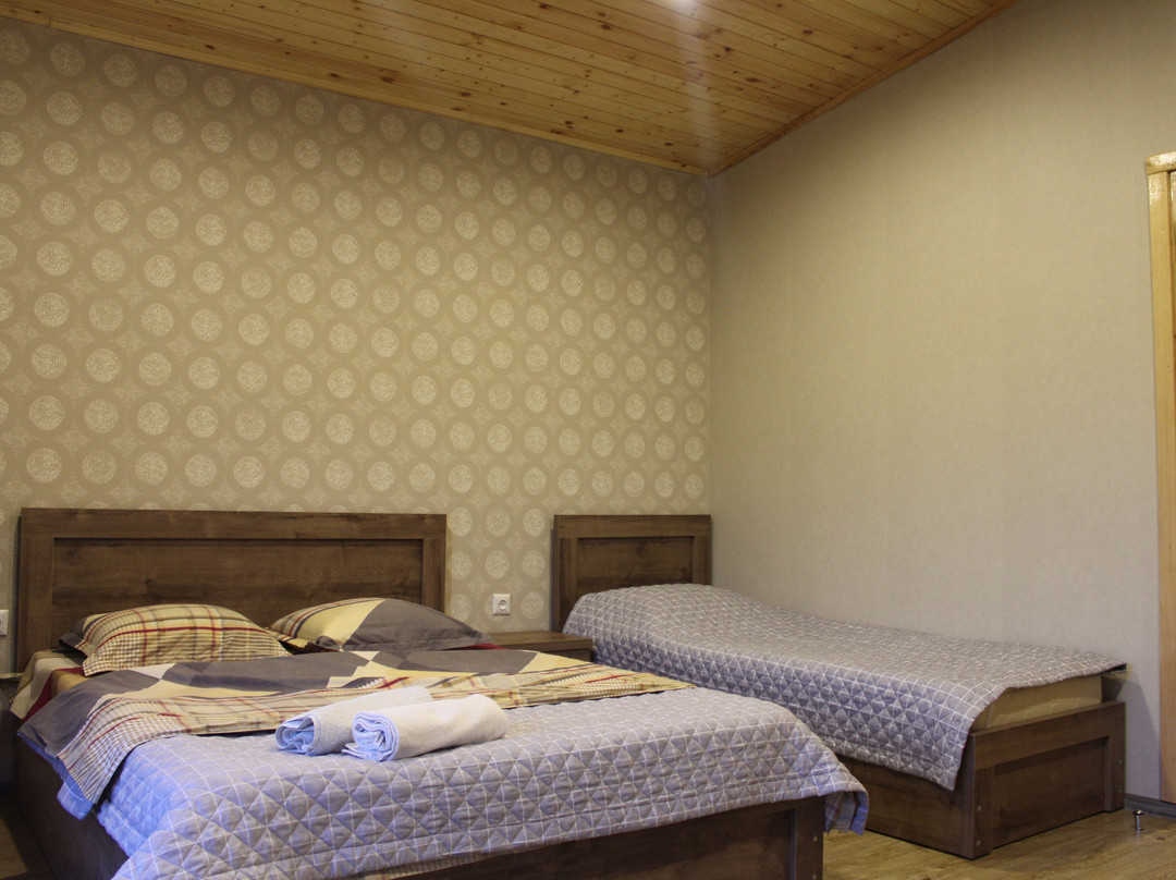 Guest House on Meskheti主图