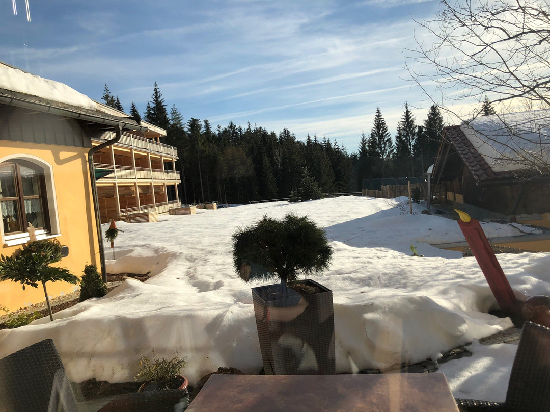 Wellnesshotel Riedlberg主图