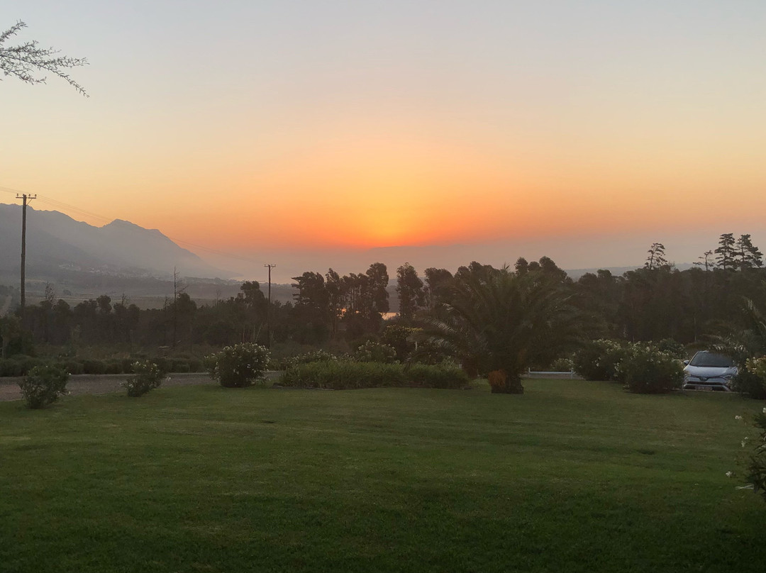 Apricot Gardens Boutique Guesthouse主图