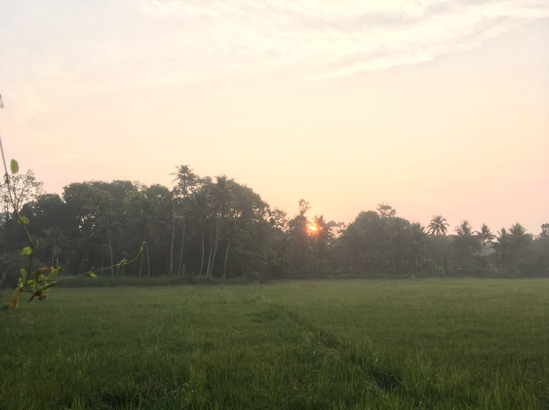 Athreya Ayurvedic Centre主图