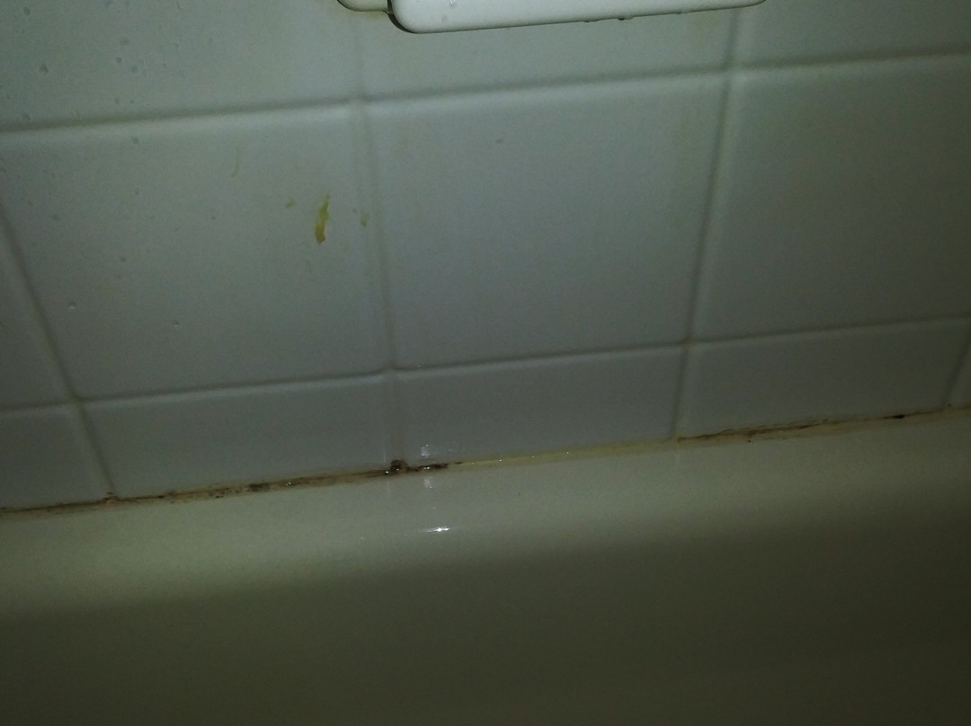 AmericInn by Wyndham Plymouth主图