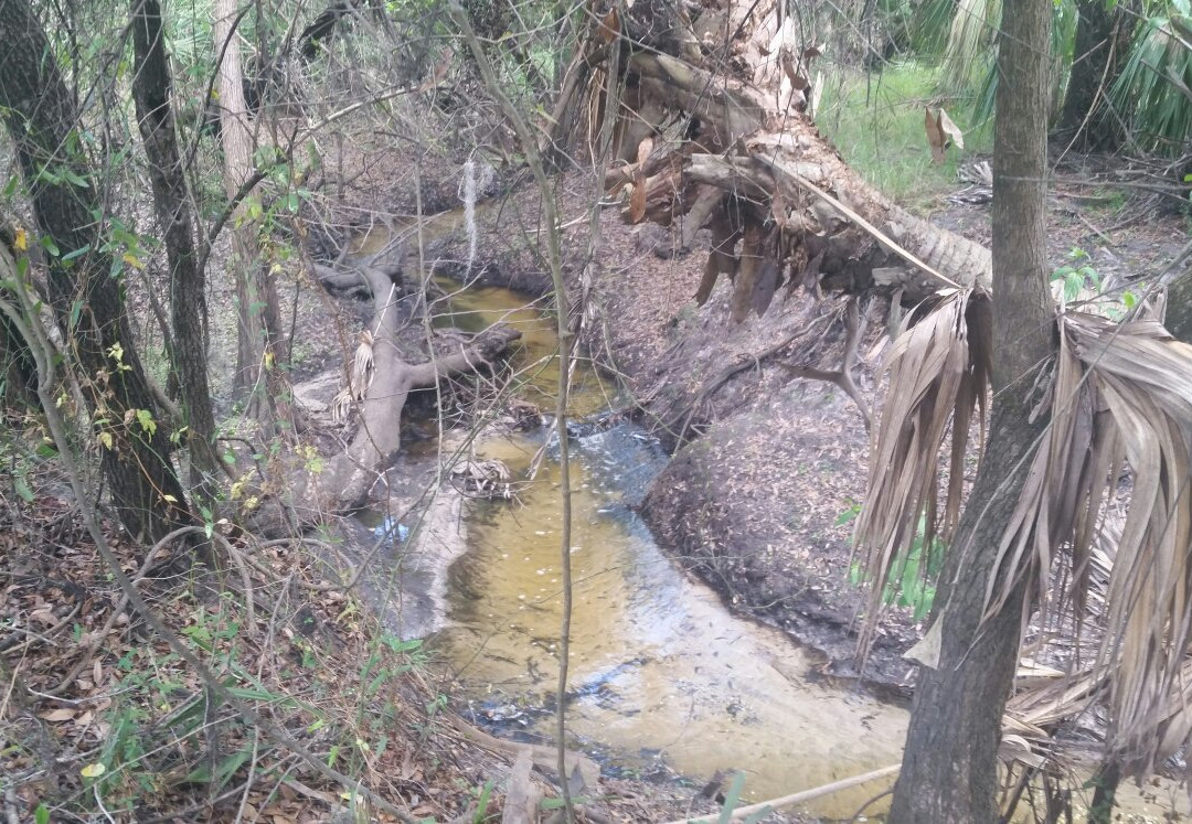 Morgan Park-阿卡迪亚必去景点