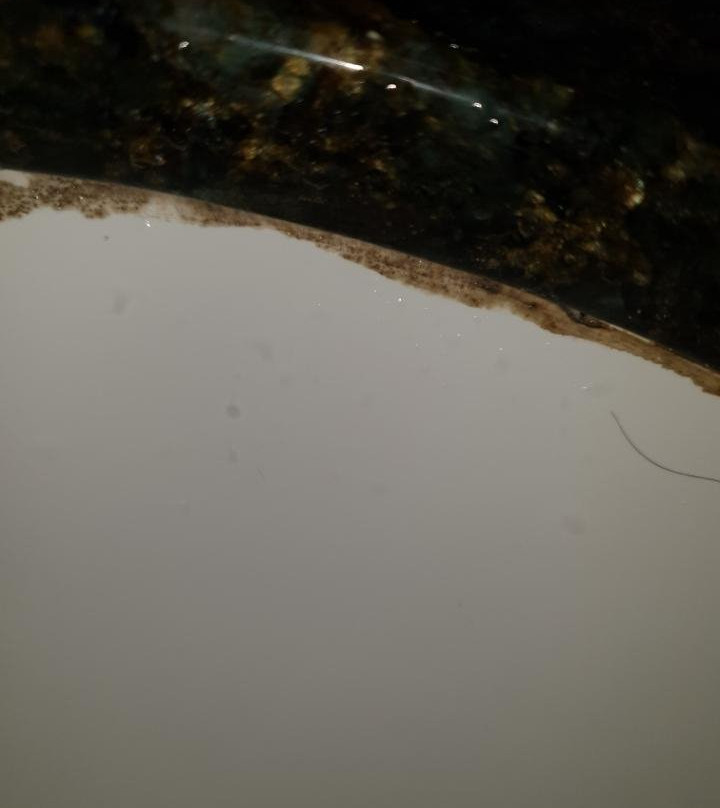 奥兰多基西米红狮酒店主图