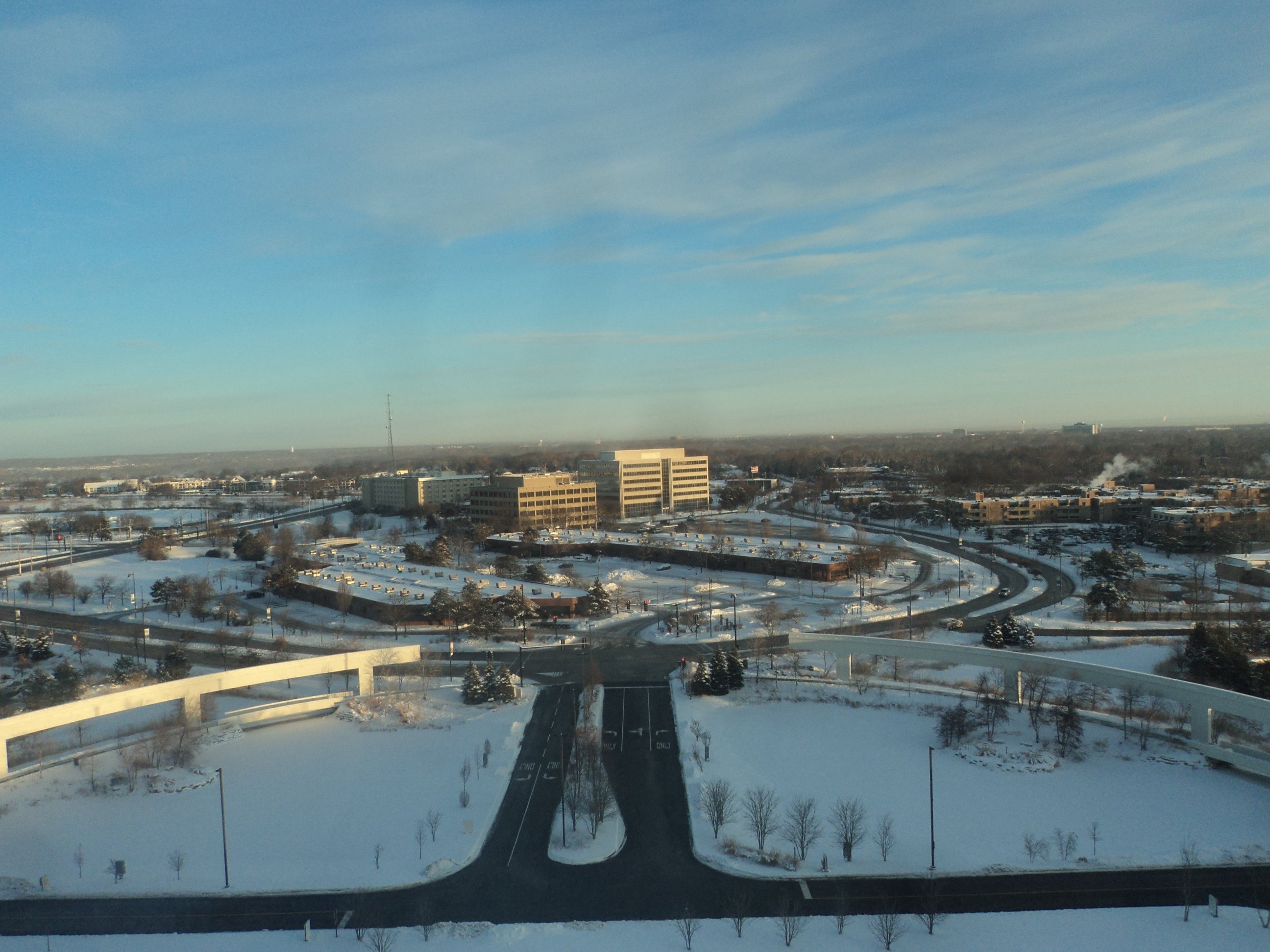 Renaissance Schaumburg Convention Center Hotel-酒店景观