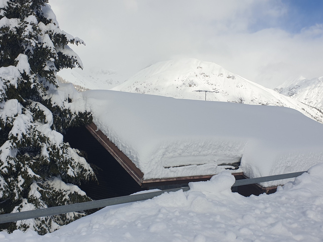 Hotel Margherita主图