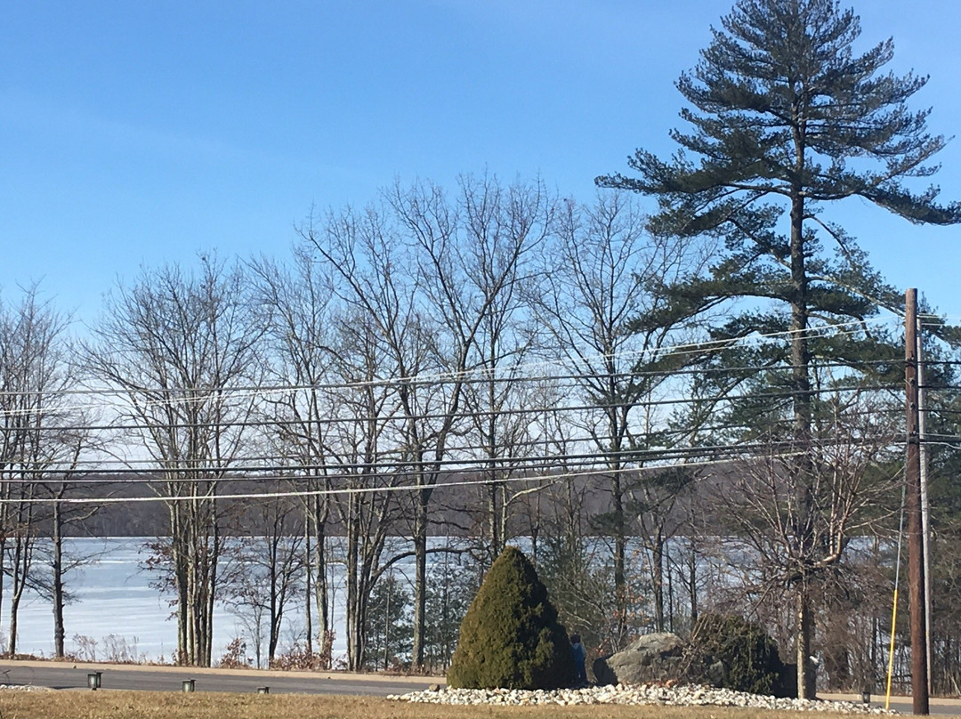 Greshams Lake View Motel主图