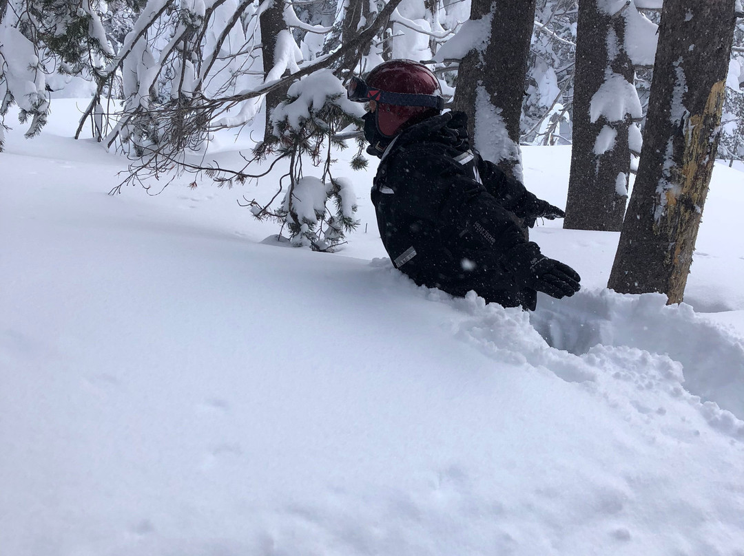 Coldstream Adventures-特拉基必去景点