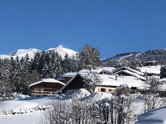 Ski Technique Ski School Megeve-梅杰夫必去景点