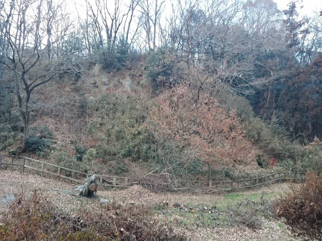 Kuroiwa Yokoanabogun-吉见町必去景点