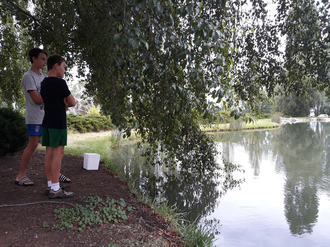 Armidale Bicentennial Arboretum景点图片