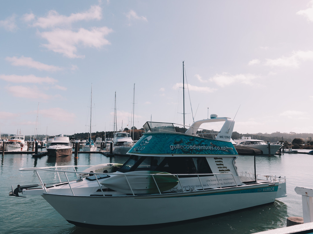 Sandspit旅游攻略图片