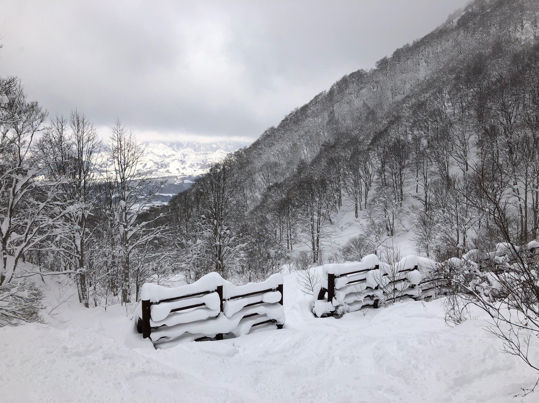 Nozawa Onsen Ski Resort景点图片