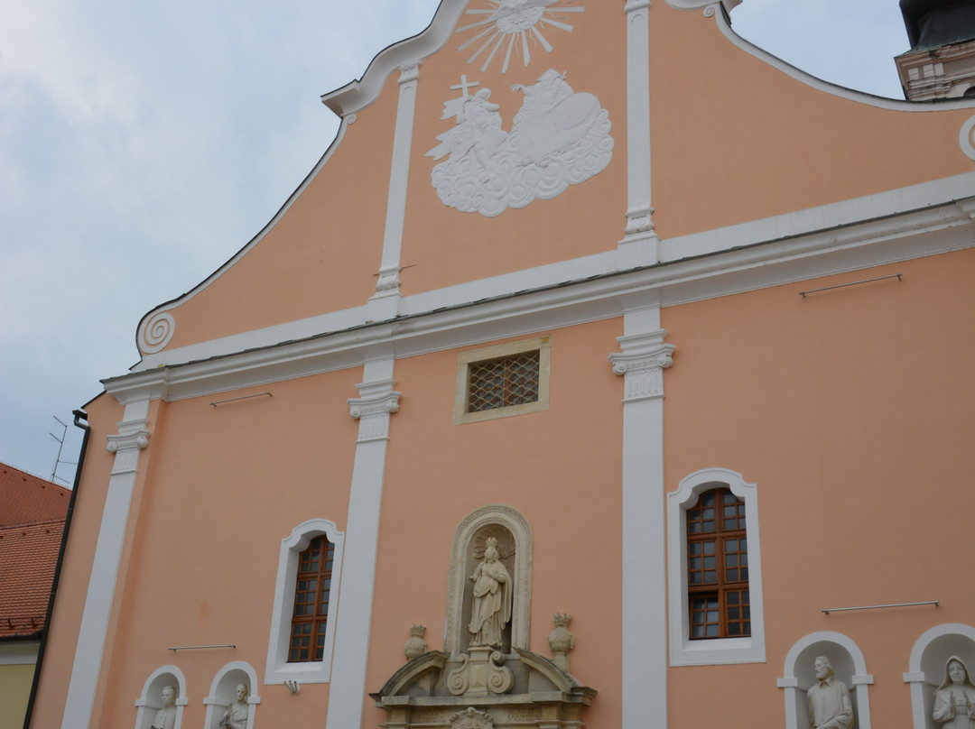 Varazdinska Katedrala Uznesenja Blazene Djevice Marije Na Nebo景点图片