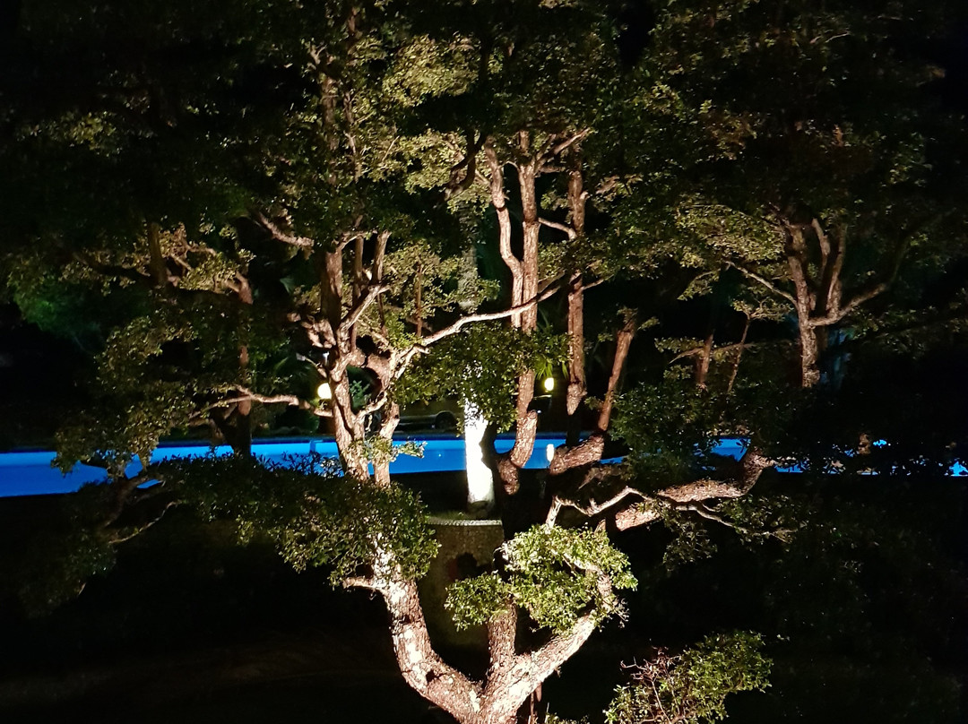 Kasai Village Dive Resort主图