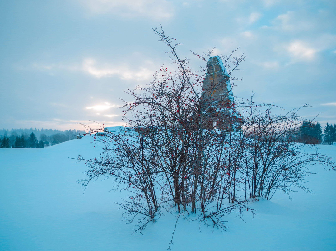 Ruins of St. Mary's Chapel-Viru-Nigula必去景点
