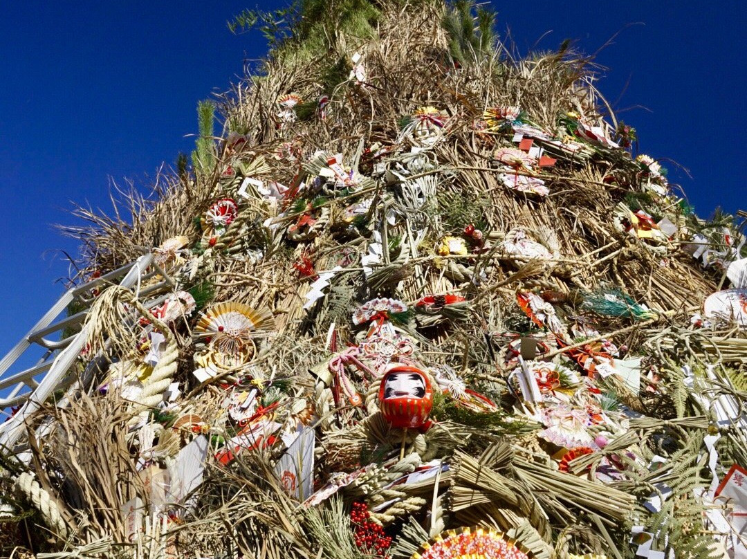 Oyamadairi Park-町田市必去景点