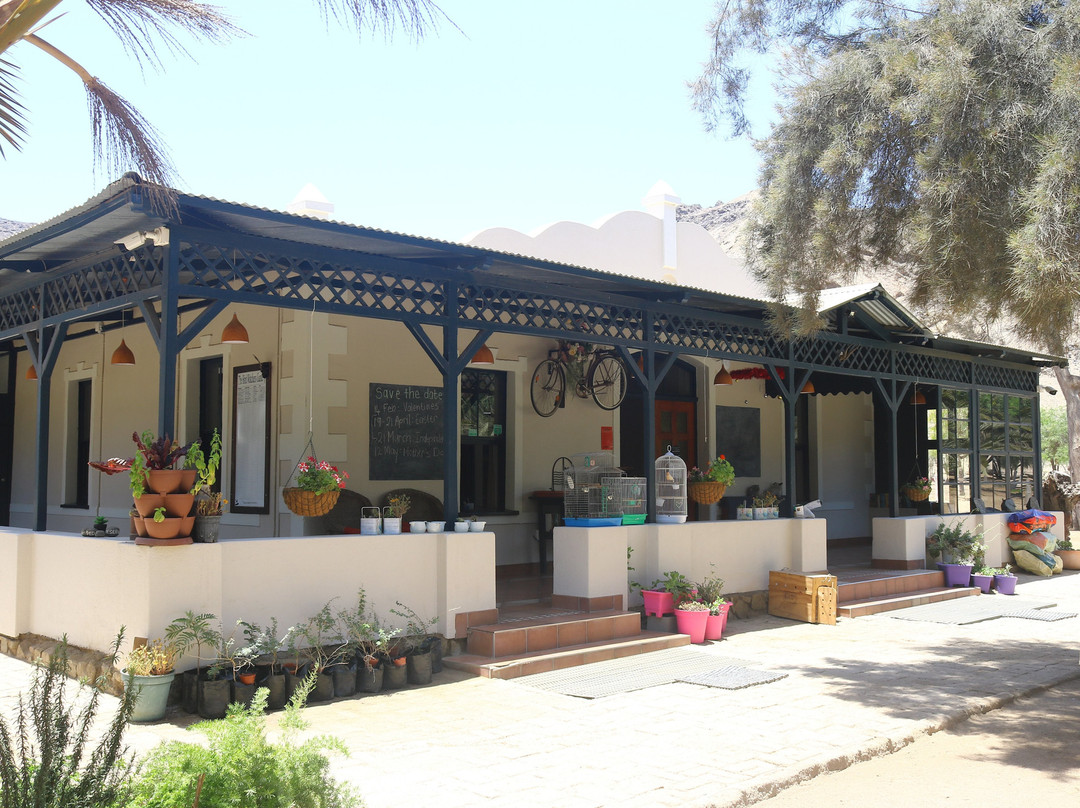 Goanikontes Oasis
