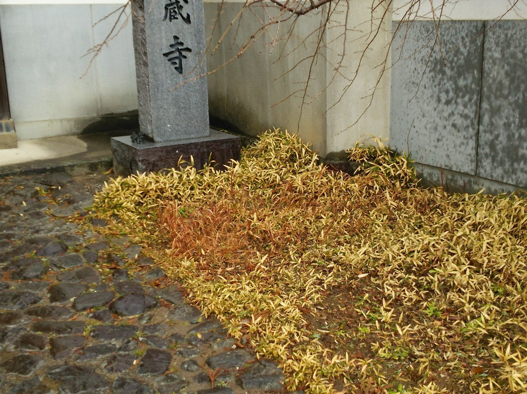 Jizoji Temple-板野町必去景点