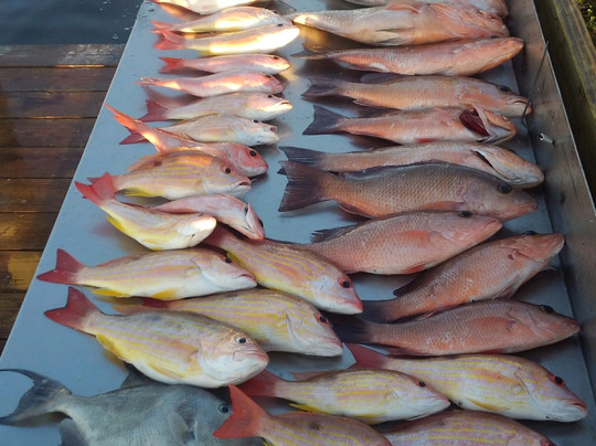 Always Fun Charters-迈尔斯堡海滩必去景点